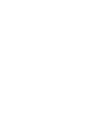 Flutter_logo-1