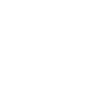 chat icon